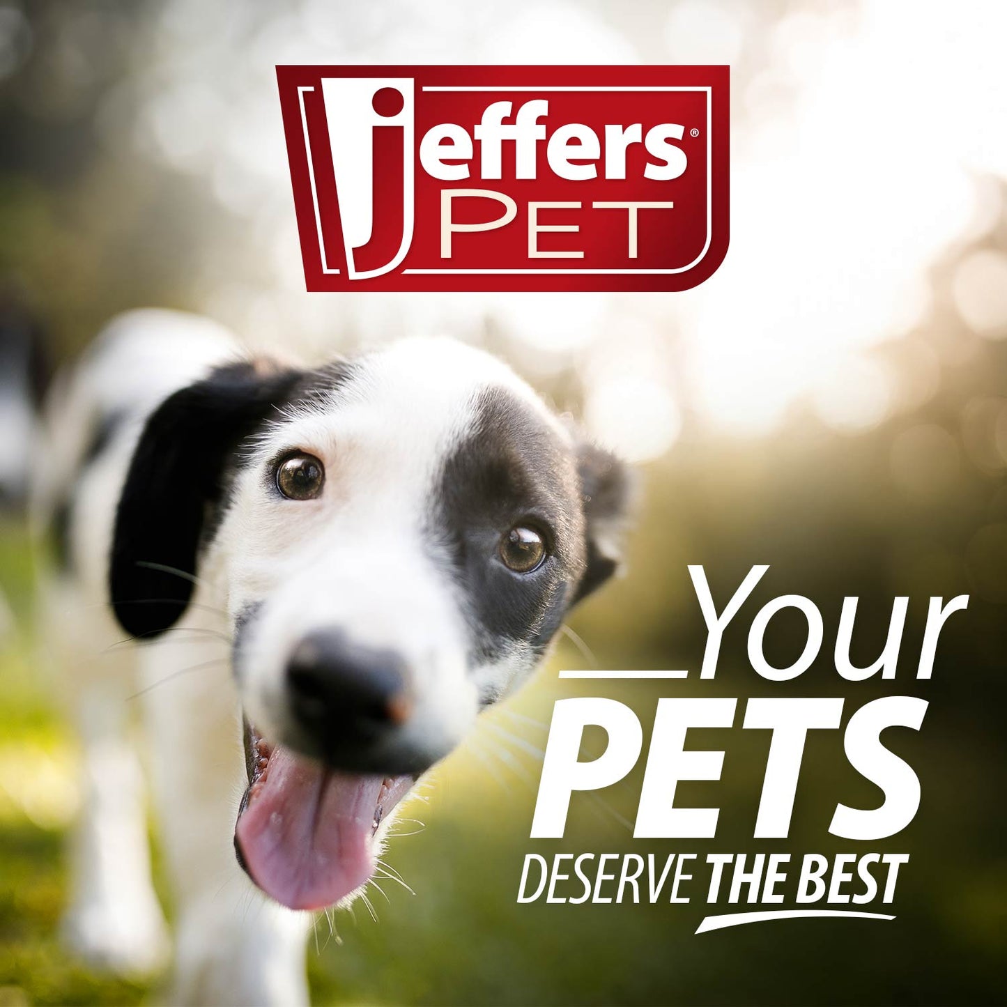 Jeffers Australian Eucalyptus All-Natural Dog Shampoo - Aids in Repelling Fleas, Ticks, Flies & Mosquitos
