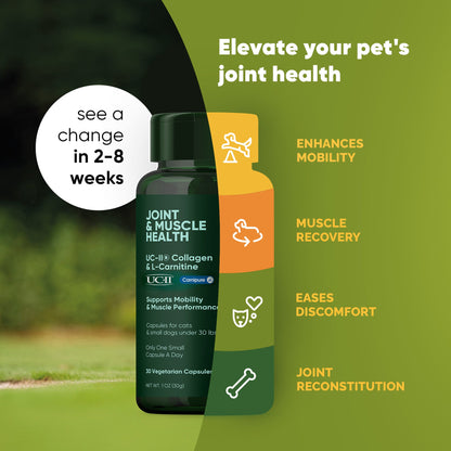 Joint & Muscle Health (Medium & Large Dogs)
