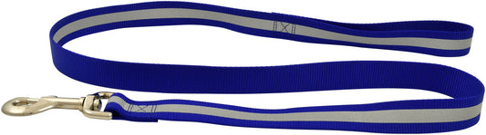 Jeffers Reflective Glow-in-the-Dark Safety Stripe Nylon Dog Leash, 1" W x 4' L
